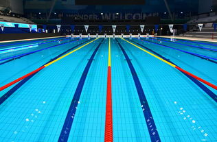 米兰平台-花样游泳世界杯中国组合获最佳表现奖,花样游泳世界杯冠军 第2张 米兰平台-花样游泳世界杯中国组合获最佳表现奖,花样游泳世界杯冠军 第2张