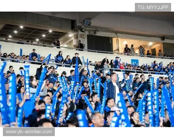 “球迷狂欢：最感人应援场面回顾”，球迷球迷