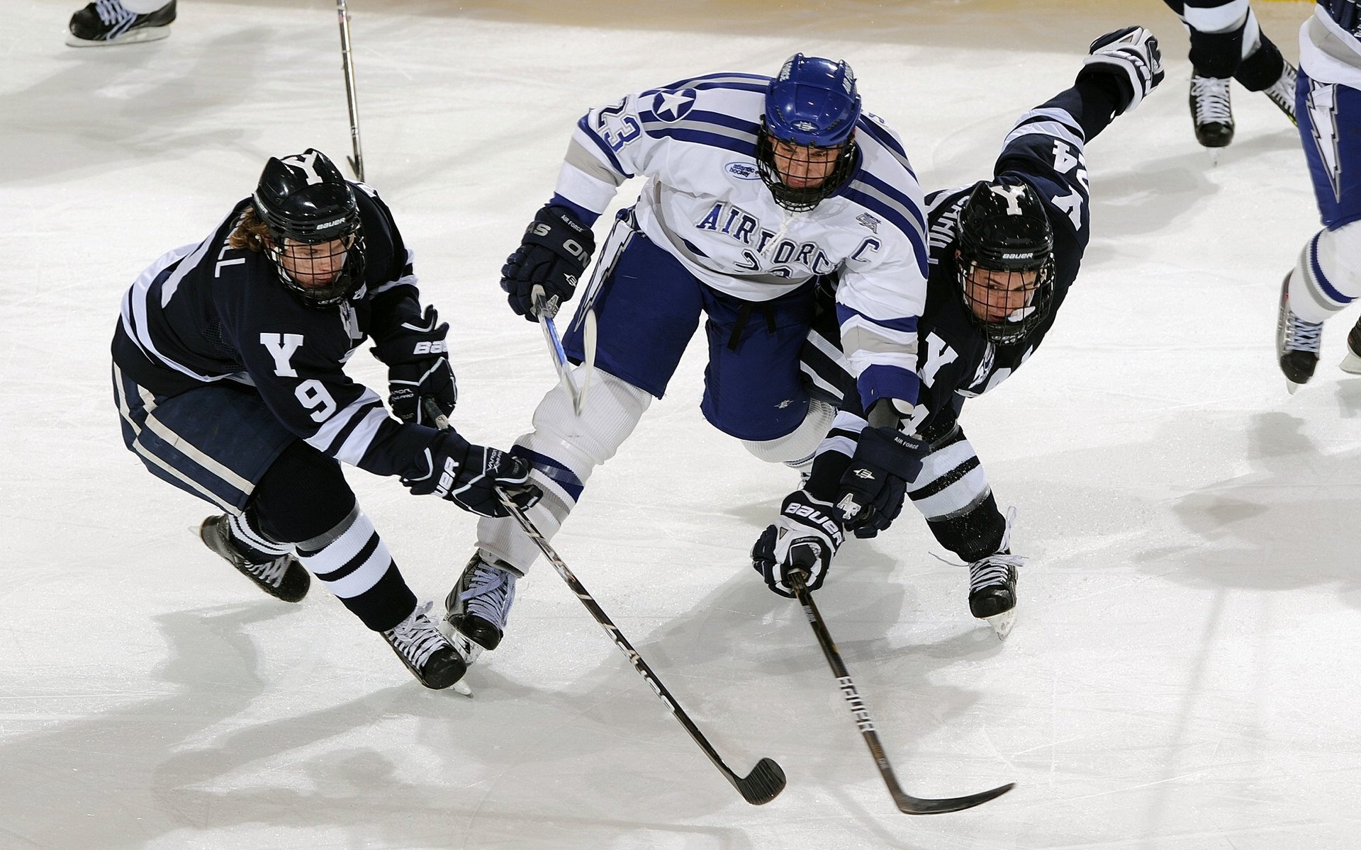 “企业团建运动会升级版” 加入定向越野与团队决策环节